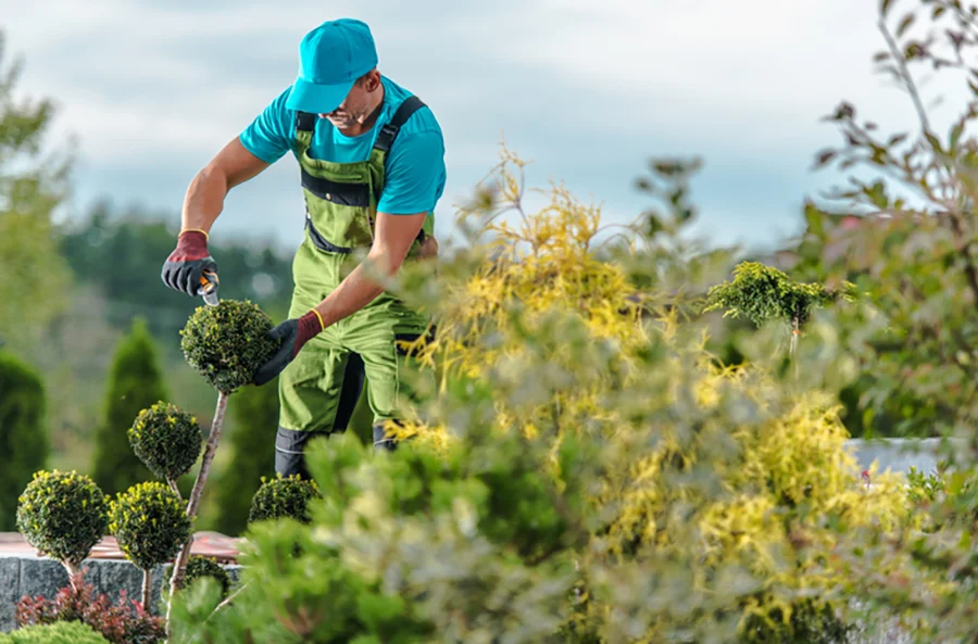 Your Reliable Landscape Contractor in Fort Worth, TX