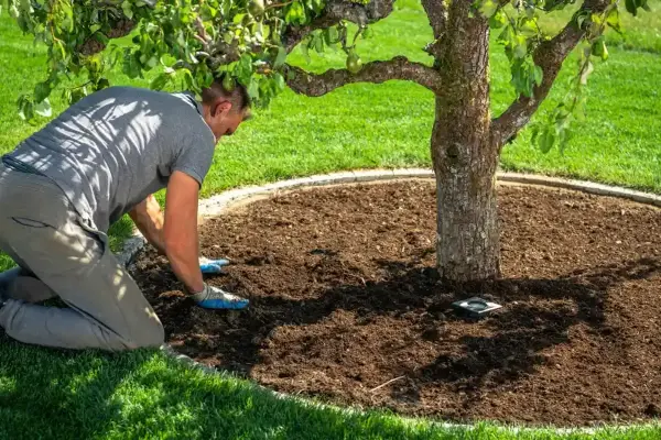 Gardening Service